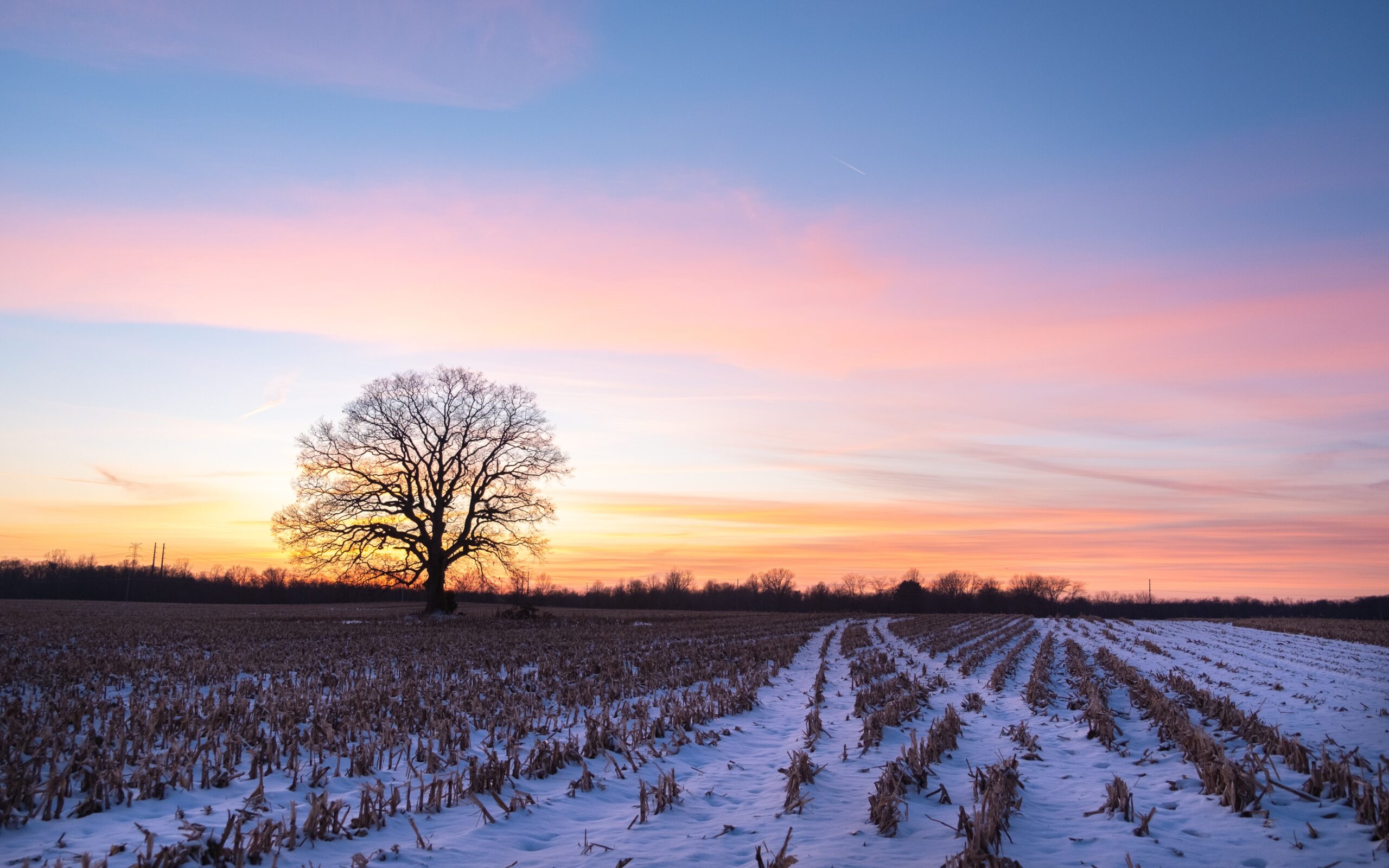 Lead For America, Heartland Forward Place Two American Connection Corps